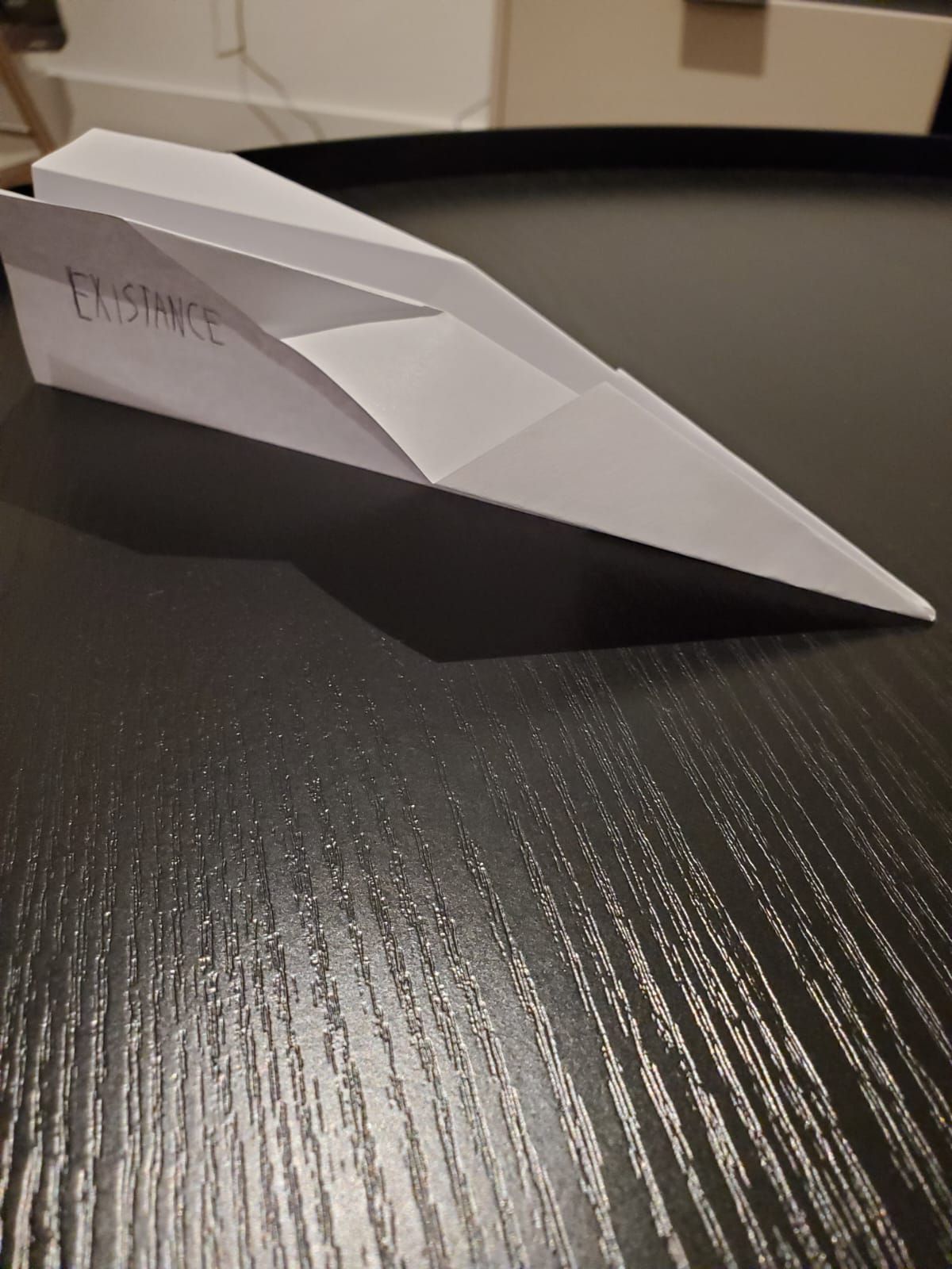 The Existance airplane (paperplane)